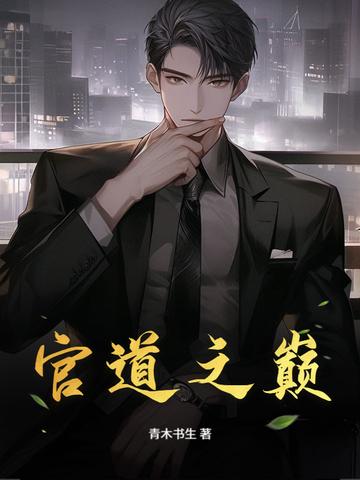 官道之巅TXT