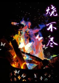 烧不尽(1v1)作者 utopia