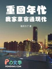 重回年代我家菜窖通现代