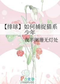 排球少年攻略