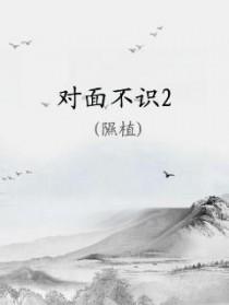 对面不识by隰植