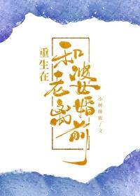 重生在离婚前的推荐