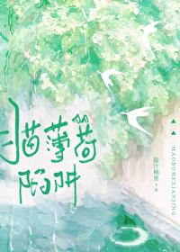猫薄荷陷阱txt