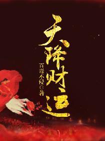 天降财运免费阅读无弹窗