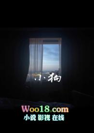 小狗涉水过河被冲走