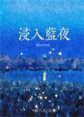 浸入蓝夜番外txt百度