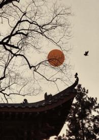 雀儿药粥免费阅读鲥鱼多刺