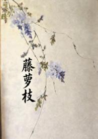 藤萝枝全文免费阅读在线