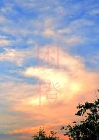 困城(男出轨)完结了吗