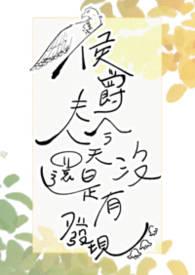 侯爵夫人的欢乐宫百度百科