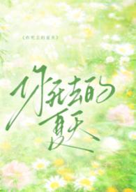 你死去的夏天纯音乐循环