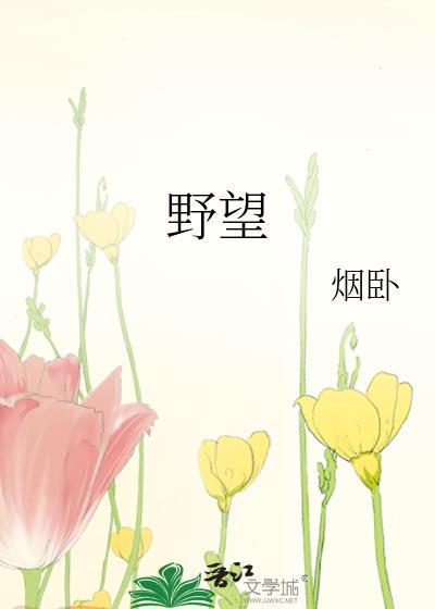 野望怎么读