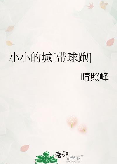 小小的城笔趣阁