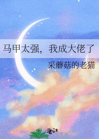 马甲大佬