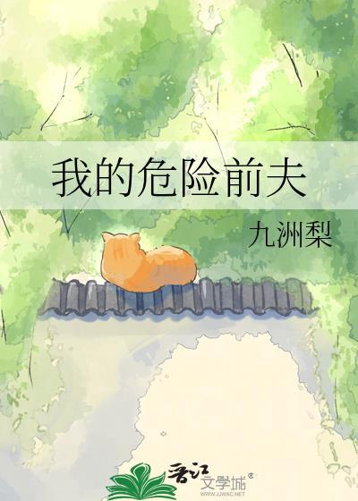 我的危险前夫免费阅读