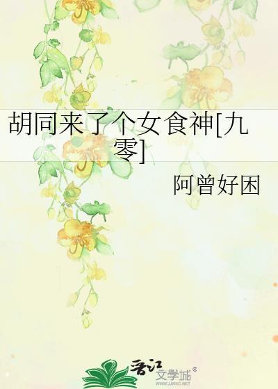 胡同里的女人剧情介绍