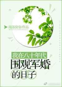 我在八十年代围观军婚的日子结局是什么