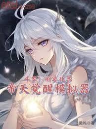 帝天觉醒模拟器起点中文网
