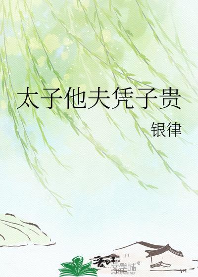 太子他夫凭子贵完结版
