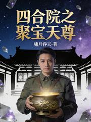 四合院之聚宝盆