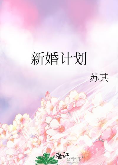 新婚计划作者苏其
