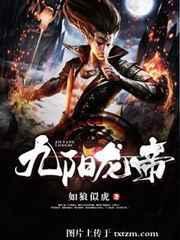 九阳龙帝 星宇翔龙