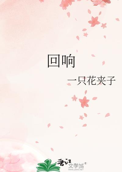 回响三角洲