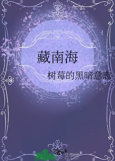 藏南海拔高度