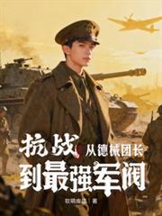 抗战德械师的
