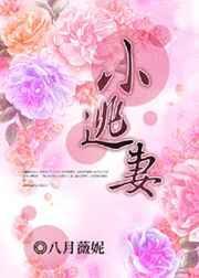 狼性总裁逮捕小逃妻
