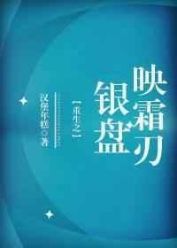 重生之银盘映霜刃讲