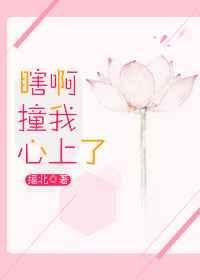 瞎阿撞我心上摇北免费