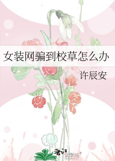 女装网骗到校草怎么办by许辰安txt