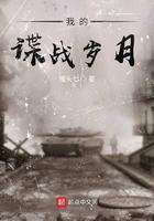 我的谍战岁月百度